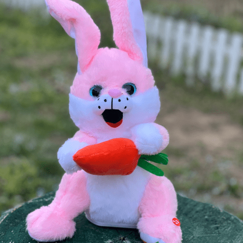 Veseli zeka koji svira,igra i peva