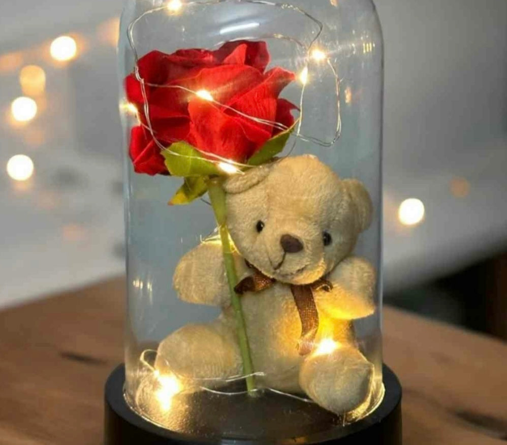 Vecna ruza u staklenom zvonu-3 modela