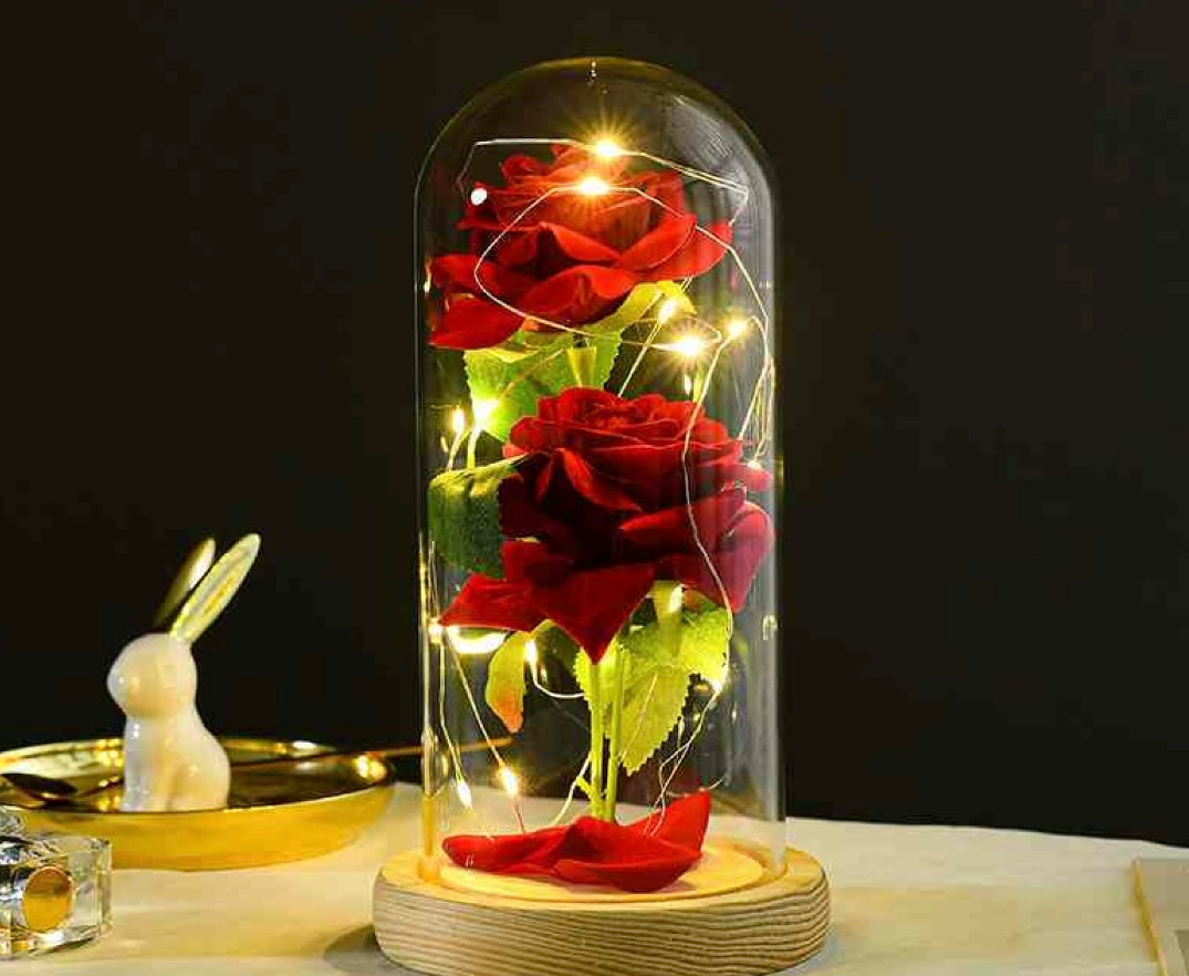 Vecna ruza u staklenom zvonu-3 modela