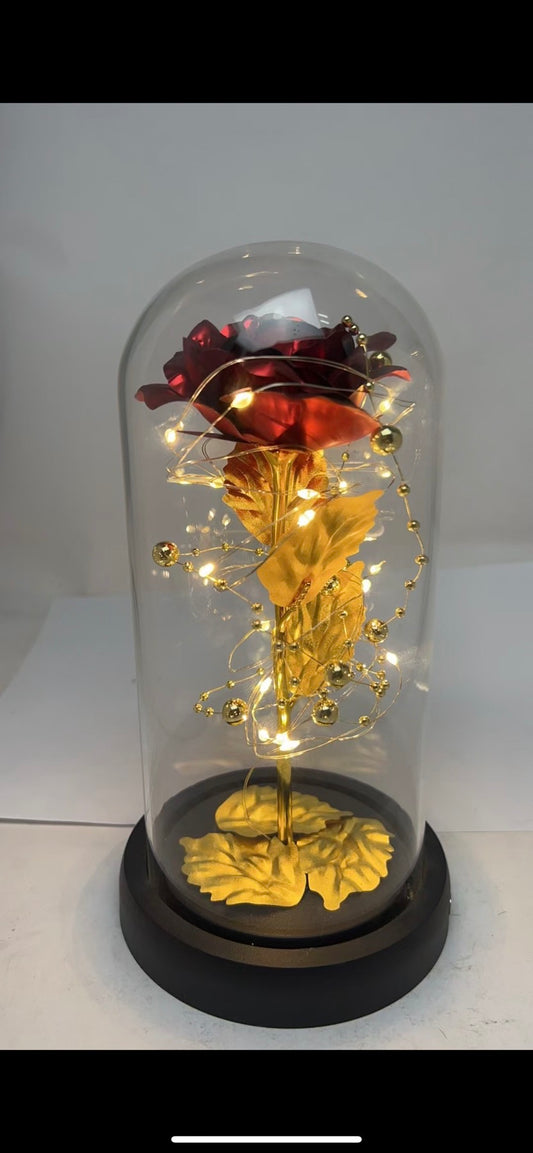 Vecna ruza-vise modela