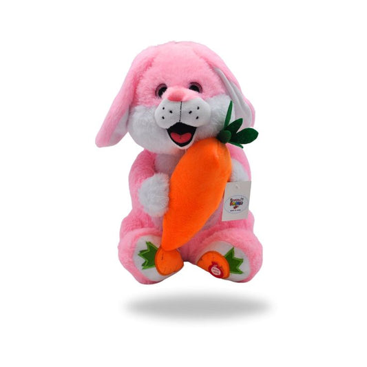 Veseli zeka koji svira,igra i peva